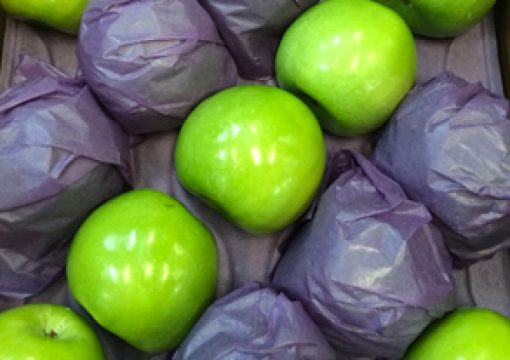 Las mejores manzanas de la Patagonia
