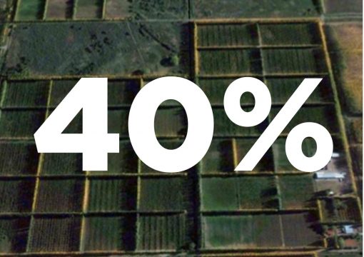 Producción propia de un 40%
