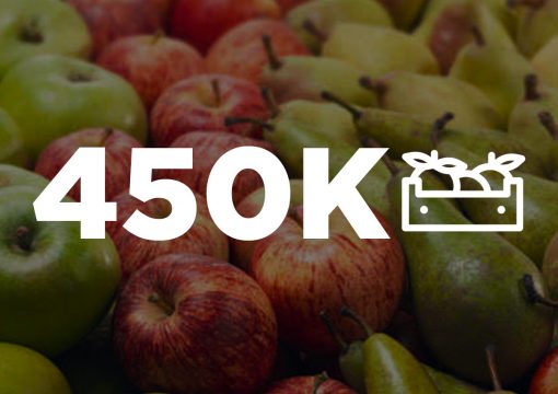 450000 Cajas de Frutas Vendidas por año