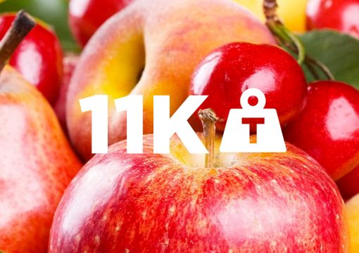 11000 Toneladas de Frutas procesadas por año
