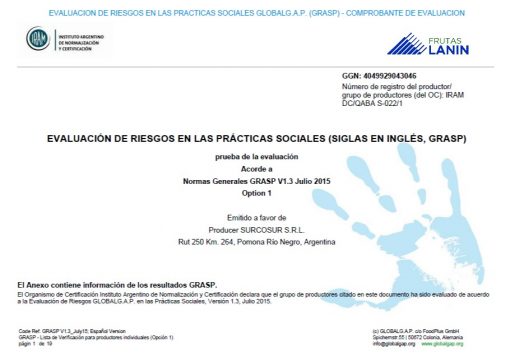 GRASP CERTIFICACION 2018-2019