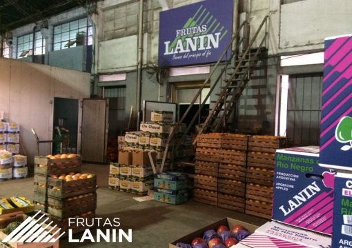 Frutas Lanin at La Plata Market – Buenos Aires