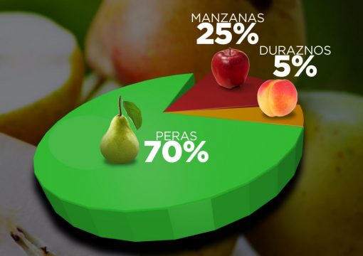 Distribución porcentual de Nuestros Productos