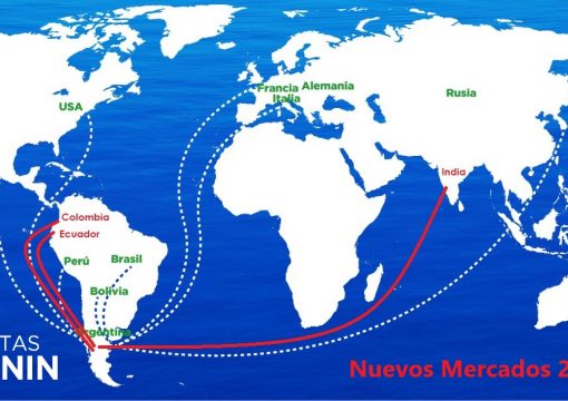 El 2019 nos dio la posibilidad de descubrir nuevos destinos para nuestra fruta y darnos más posibilidades de comercialización. Esto a sido un esfuerzo en conjunto con la parte productiva, logística y comercial. Veremos que nuevos destinos encaminaremos este 2020.